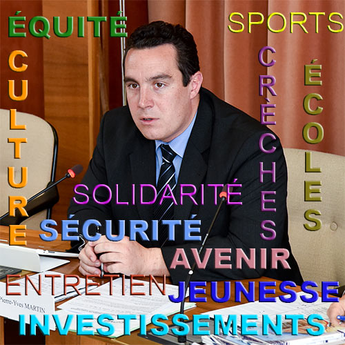 2016 budget Pierre Yves Martin CM