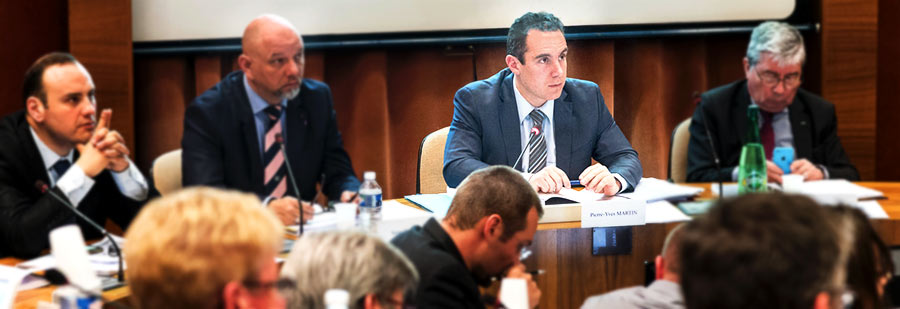 2017 pierre yves martin cm budget 01